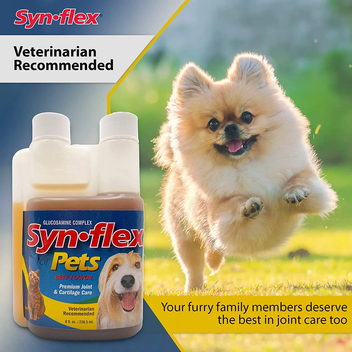 Synflex® for Pets | Beef-Flavored Liquid Joint Support Synflex® for Pets | Beef-Flavored Liquid Joint Support