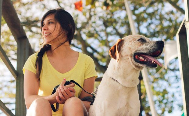glucosamine-for-dogs-img04 Pet Owners Trust Synflex