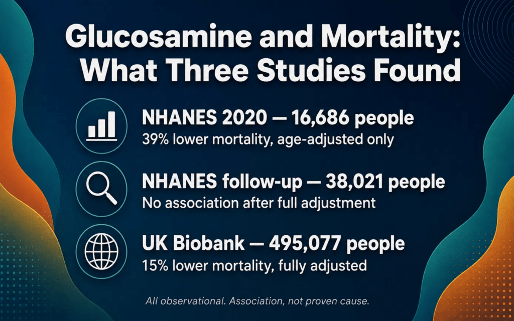 Infographic comparing three observational studies on glucosamine and mortality: NHANES 2020 found 39% lower mortality age-adjusted, a larger NHANES analysis found no association after full adjustment, and UK Biobank found 15% lower mortality fully adjusted.
