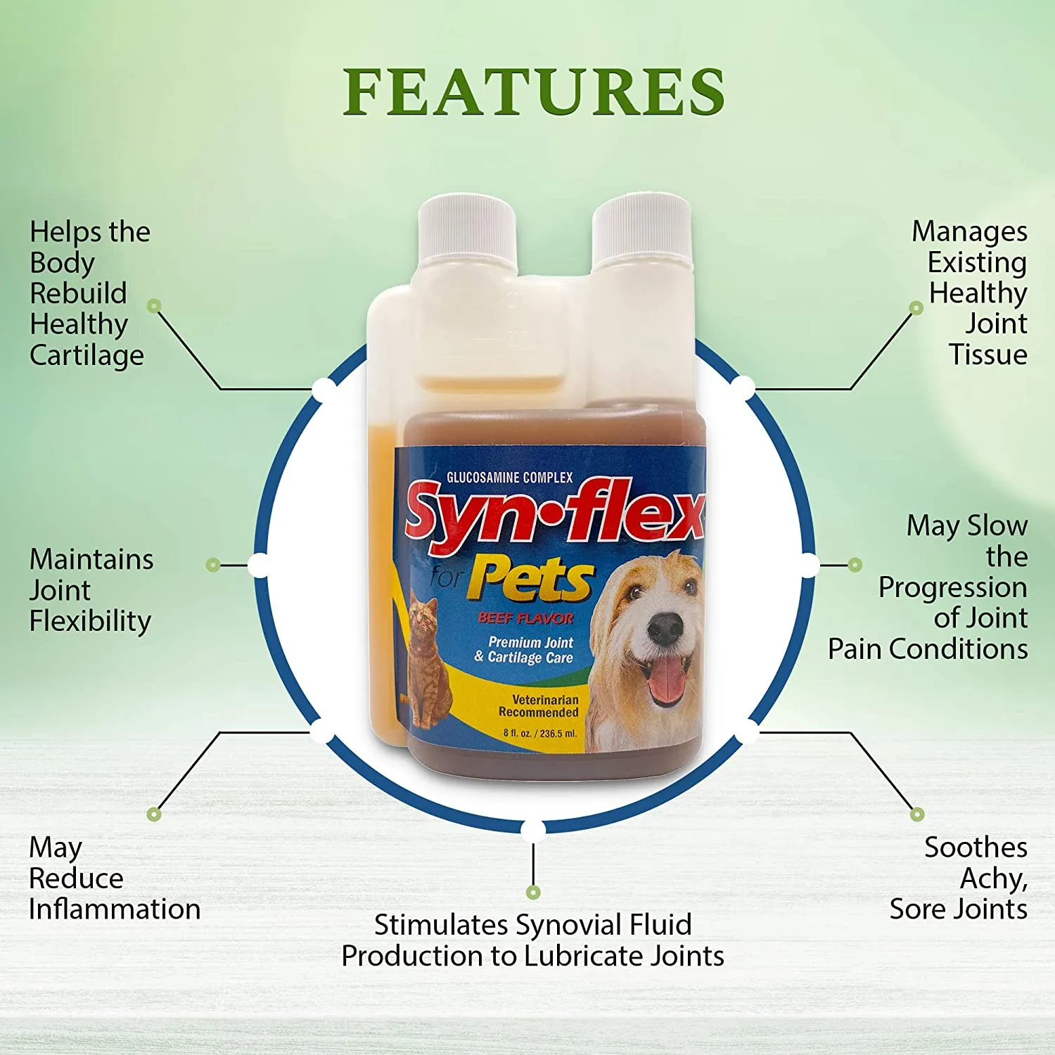 Synflex® for Pets | Beef-Flavored Liquid Joint Support Synflex® for Pets | Beef-Flavored Liquid Joint Support