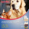 Synflex for Pets