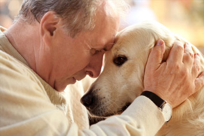 Glucosamine for Aging Pets