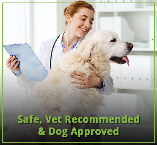 Liquid Glucosamine For Dogs