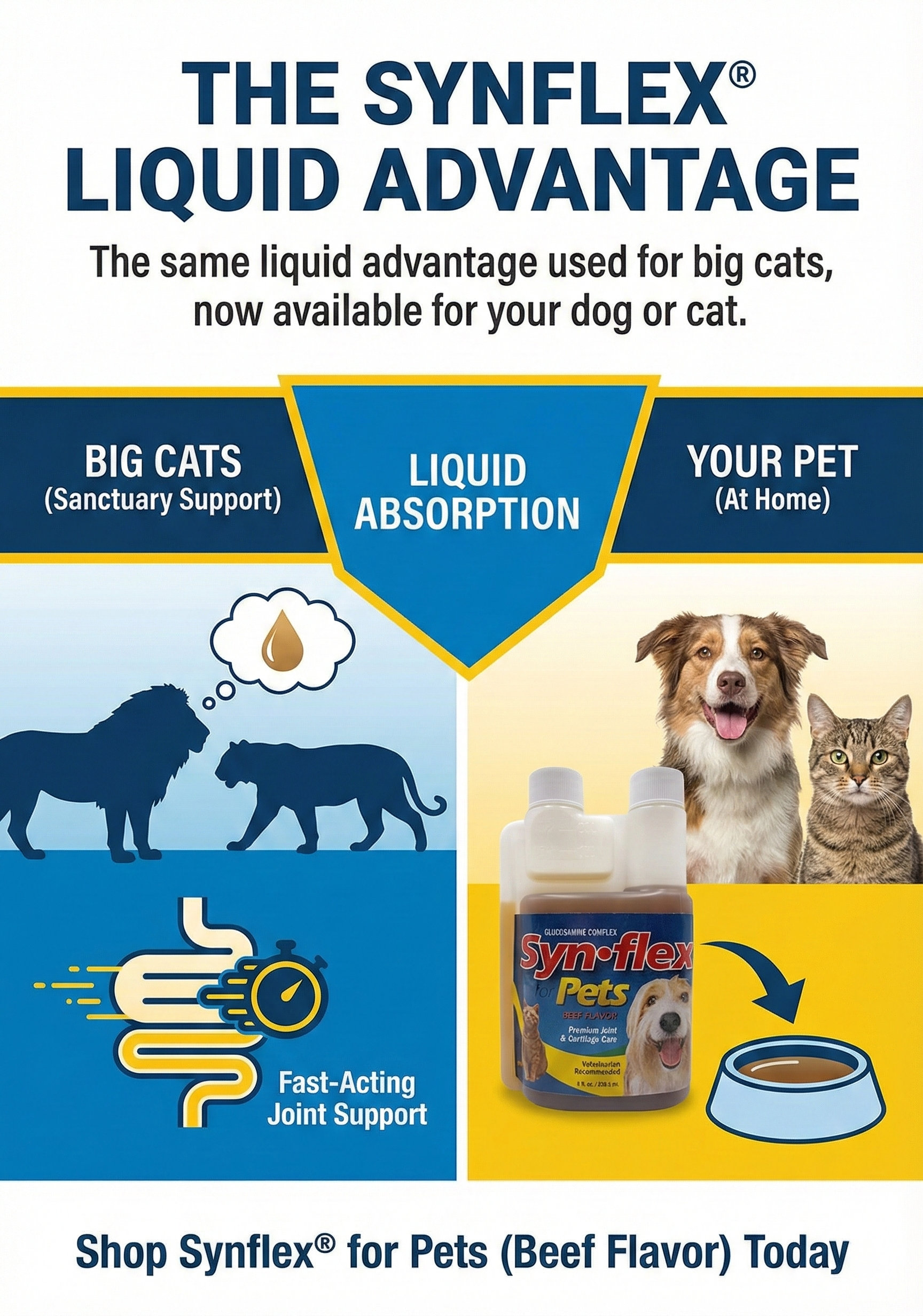 Bottle of Synflex for Pets Liquid Glucosamine Complex, Beef Flavor, 8 fl. oz.